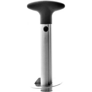 Letnerny-Affette Taille Buccianananas Macedonie Torso En Acier Inoxydable, Medium, Acier Alli&eacute;, Aucune Pierre Pr&eacute;cieuse. - Neuf