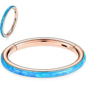 16g Cz Opale Nez Anneaux Septum Clickers 316l Acier Chirurgical Segment Helix Cartilage Hoop Boucles D'oreilles Daith Boucle D'oreille Piercing Bijoux - Neuf