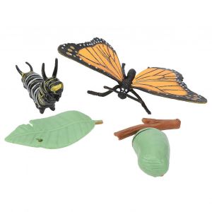 Mod&egrave;le d'insecte Jouet Cycle de croissance Mod&egrave;le papillon Simulation Animal Enfants Jouet &eacute;ducatif - Neuf