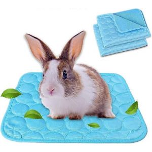 Pack De 2 Lit De Cochon D'inde Lit De Lapin Pour L'&eacute;t&eacute;,Tapis De Refroidissement Pour Animaux De Compagnie - Neuf