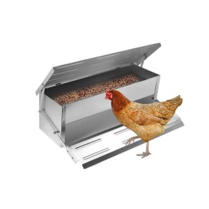 Mangeoire Automatique En Acier Inoxydable Pour Poulets, Avec Couvercle Anti-Rongeurs Et Ouverture Automatique. - Neuf