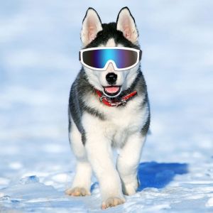 Hjlian Lunettes De Soleil Uv Pour Chiens De Taille Moyenne Et Grande, Accessoires De Protection Des Yeux, Decoration Pour Animaux De Compagnie, Blanc - Neuf