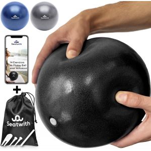 Ballon Pilates 23 Cm-Ensemble Complet Avec Sac De Transport + E-Book & Pdf D'exercices-D&eacute;butants & Utilisateurs Avanc&eacute;s-Petit Ballon De Gym L&eacute;ger Pour Le Sport &Agrave; La Maison Ballon,Pilate.[K995] - Neuf