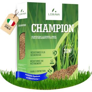 LETNERNY-Champion Gazon A Semer - Graine Pelouse Résistant À La Sécheresse - Semences De Gazon - Graines Gazon Premium - Pelouse A Semer - Semence Gazon - Graine Gazon - Gazon Regarnis - 30 M² - Neuf