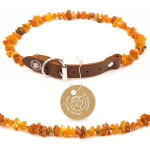 Eryi-Collier D' Ambre Pour Chiens Et Chats | Collier Pour Chien En Ambre | Collier Pour Chat: 65-70 Cm - Neuf