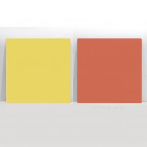 Toile de fond de photographie couleur pure, panneau de fond double face impermeable pour la prise de vue en jaune agate et vermillon - Neuf