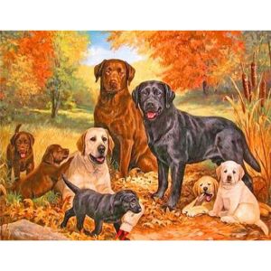 Ayuhr-Diamond Painting Carré 50x40 Cm - Peinture Par Numéros Chien Labrador - Broderie Diamant Perle Mosaïque - Tableau Enfants - Neuf
