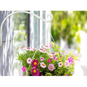 Support mural en m&eacute;tal pour plantes et lanternes, blanc, 30,5 cm - Neuf