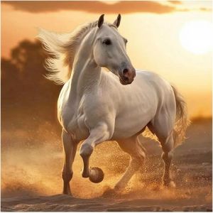 Oayew-Diamond Painting Carr&eacute; Cheval 40x40cm - Broderie Diamant Chevaux Noir Et Blanc - Peinture Diamant Paysage Plage Coucher De Soleil - Grand Format Animaux - Neuf