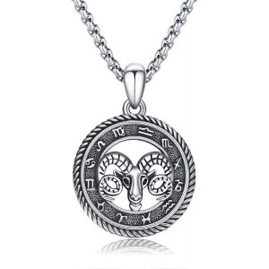 Collier Constellation 12 Signes Du Zodiaque Pendentif Collier Horoscope Cha&icirc;ne Oxyd&eacute;e Pendentif Constellations Astrologie Collier Anniversaire Cadeaux Pour Femmes Hommes Unisexe, 22mm, Argent - Neuf