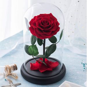 Véritable rose éternelle conservée dans un dôme en verre Cadeau pour elle Thanksgiving Noël Saint-Valentin Anniversaire Fête des mères (Rouge) - Neuf