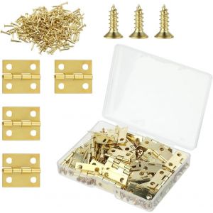 Mini Charni&egrave;res Invisibles,50 PCS + 200 Vis Petites Charni&egrave;res en Inox Laiton Charni&egrave;re Plate et Charni&egrave;re Piano Charni&egrave;res Miniatures pour Meubles pour Porte Armoire Placard et Cuisine - Neuf