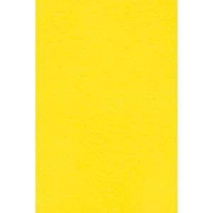 20x Carton Jaune 250g Papier Décoratif A4 210x297mm Burano Giallo Zolfo Idéal Pour Cartes De Voeux Scrapbooking Bricolage Invitations Art Et Artisanat Anniversaire Diy Loisirs Créatifs - Neuf