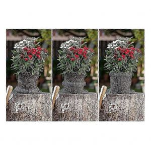 Plantes Root Guard Paniers 6 Pcs Root Guard Wire Basket Cages Fil Souterrain En Acier Inoxydable Pour Pl - Neuf