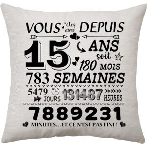 Eryi-Cadeaux De 15e Anniversaire Housse De Coussin Pour 15e Cadeaux D`Anniversaire Cadeaux Pour 15e Adolescent Fille Garçon Anniversaire Coussin De 15 Ans Cadeau Décoration (15) - Neuf