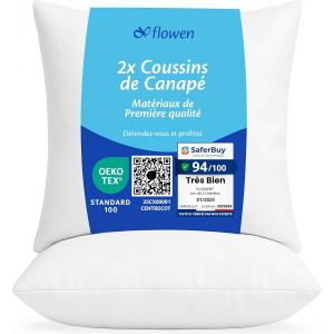 Kalanka-Coussin Canape 40x40 Lot De 2 Oreillers Decoratif Accessoires Pour Sofa Decoration Aesthetic Pour Salon Et Exterieur Antiallergiques Et Anti-Acariens Avec Taie D'oreiller En Polyester - Neuf