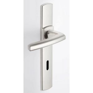 Set de Poignée de Porte sur Plaque SCULT Version Clé I pour Porte d'Entrée/Cave/Abris de Jardin Entraxe 195 mm Matériau Zamak Résistant Garantie 10 Ans Finition Platine - Neuf