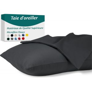 Cauc-Taie D'oreiller 50x80 Microfibre Premium Lot De 2 Housse Coussin Pour Coussins Canap&eacute;/Lit Tissu Super Doux Resistant Et Lavable Hypoallerg&eacute;nique Anti-Acariens Avec Fermeture &Eacute;clair Invisible - Neuf