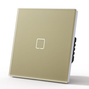 Interrupteur tactile encastré-Interrupteur Wi-Fi intelligent-Compatible avec Alexa/Google Home Work avec Tuya/Smart Life,verre Alexa,câble neutre nécessaire-1 compartiment et 1 voie.[H37] - Neuf