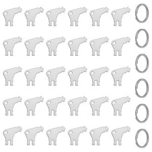 Cl&eacute; de distributeur d'essuie-tout en papier,Cl&eacute; de distributeur 30 pi&egrave;ces avec 6 porte-cl&eacute;s - Neuf