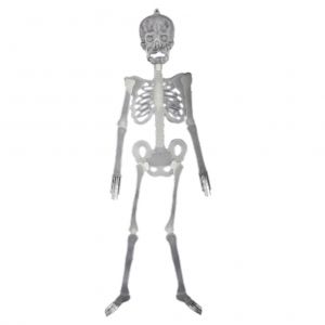 Hjlian Decoration De Squelette D'halloween Phosphorescente, Modele De Squelette Realiste Et Lumineux Pour Pelouse, Maison Hantee, Accessoires De Bar, Decorations De Fete D'halloween - Neuf
