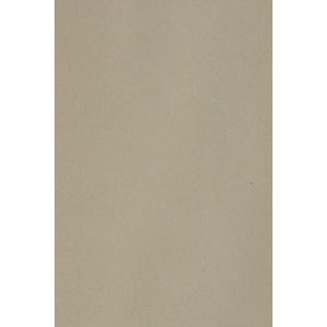 10x Carton Gris 250g Papier D&eacute;coratif A5 148,5x210mm Burano Pietra Id&eacute;al Pour Cartes De Voeux Scrapbooking Bricolage Invitations Art Et Artisanat Anniversaire Diy Loisirs Cr&eacute;atifs - Neuf