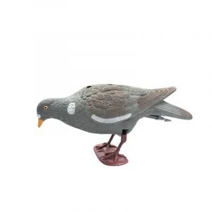 Appelant Pigeon Qui Picore - Neuf