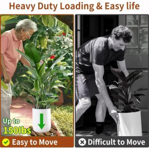 ASFASFq-Planche à roulettes ronde pour plantes - 30 x 30 cm - Charge maximale : 100 kg - Soucoupe avec roulettes - Soucoupe ronde avec roulettes - Neuf