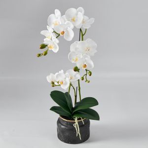 Orchid&eacute;e Artificielle Au Toucher R&eacute;aliste U2013 Faux Phalaenopsis En Pot De 50,8 Cm U2013 Texture D'orchid&eacute;e Et De Feuille En Soie Tr&egrave;s R&eacute;aliste Pour La Maison, Le Bureau, La Boutique Et La D&eacute;coration - Neuf
