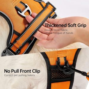 Harnais Veste Et Longe Anti Traction Pour Chiens, Colliers, Harnais Et Laisses Pour Chiens, Accessoire Chien (Orange, [L] Le Cou 38 48cm Poitrine 48 74cm) - Neuf