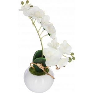 Orchid&eacute;e Artificielle En Pot, 25 Cm - Neuf