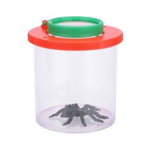 Loupe d'observation d'insectes, jouets educatifs, grossissement pour enfants - Neuf