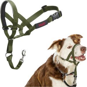 Jgd-Licol Halti - Pour Que Votre Chien Arr&ecirc;te De Tirer Sur Sa Laisse, Partie Enti&egrave;rement Matelass&eacute;e Sur Le Museau, Colliers Anti-Traction Pour Chiens De Taille Moyenne (Taille 2, Vert For&ecirc;t) - Neuf