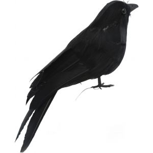 CAUC-Corbeau &agrave; Plumes r&eacute;aliste, Oiseaux &agrave; Plumes Noires, Accessoire de d&eacute;coration d'halloween, d&eacute;coration de f&ecirc;te effrayante (Yeux Noirs) - Neuf