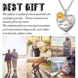 Collier Balle Urne De Crémation Cendres Pendentif Memorial Pour Femme Fille Chaîne Pendentif En Argent Fin 925 Souvenirs De Bijoux[Col9221212] - Neuf