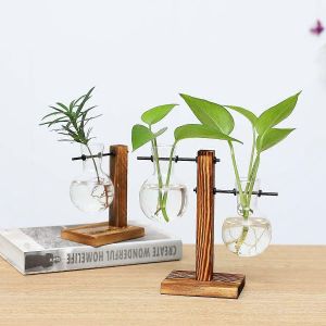 Lot de 2 terrarium de plantes avec support en bois Air Pot de fleurs Bulbe Vase en verre Station de propagation,(3 vases à bulbes) - Neuf