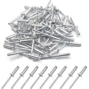 100 pièces de rivets aveugles en aluminium 4.8 x 16mm,rivets à bout ouvert,rivets pop,paquet de 100 (Argent) - Neuf