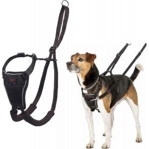 Harnais Anti-Traction , Taille Xs, Pour Que Votre Chien Arr&ecirc;te De Tirer Sur Sa Laisse, R&eacute;fl&eacute;chissant, Sangle De Poitrail Et Des Pattes Avant Rembourr&eacute;e, Harnais Anti-Traction Pour Petits Chiens - Neuf