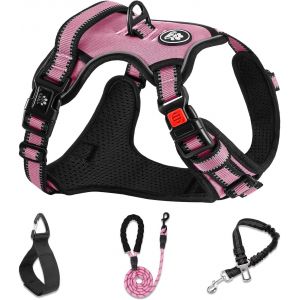 Harnais Veste Et Longe Anti Traction Pour Chiens, Colliers, Harnais Et Laisses Pour Chiens, Accessoire Chien (Rose, [Xl] Le Cou 43 64cm Poitrine 53 89cm) - Neuf