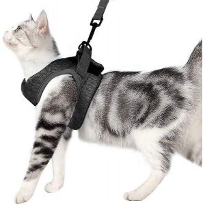 Harnais Et Laisse Ultra-Légers Et Confortables Pour Chat - Collier Doux Pour Chatons Pour Les Aventures En Plein Air - Gris Élégant - Parfait Pour Les Petits Animaux - Neuf