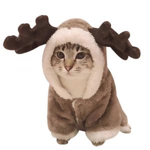 Chat De No&euml;l Renne Elk Costume De V&ecirc;tements De Chat Mignon Animal De Rennes Cosplay - Neuf
