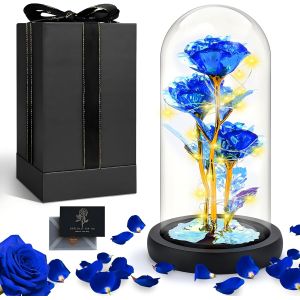 Fleur Eternelle sous Cloche LED,Kit Cadeau Rose,Rose sous de La Belle et La B&ecirc;te,Roses Eternel en Verre avec Carte de Voeux,Roses Cadeau pour Femme Maman M&egrave;re,pour F&ecirc;te des M&egrave;res,Anniversaire - Neuf