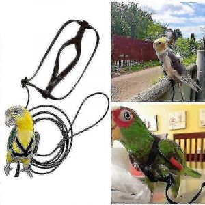 Perroquet Oiseau Harnais Laisse Réglable Oiseau Volant Corde De Traction Avec Aile Mignonne F N° D'article 1-0406-623sblack Szrh A-M - Neuf