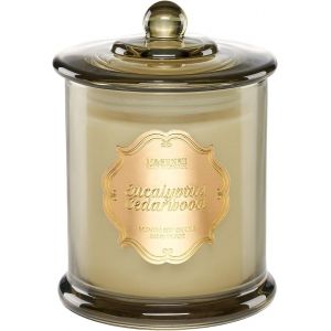 Bougie Parfum&eacute;es Eucalyptus et C&egrave;dre,Bougies en Soja Non Toxiques Sans Fum&eacute;e,Bougie Aromath&eacute;rapie pour Soulagement du Stress,Bougie Grande 360g 75 Heures &agrave; 2 M&egrave;ches - Neuf