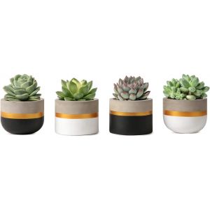 Nouvelhorizonstore-8cm Mini Ciment Succulent Plantes Moderne Concrete Cactus Pots De Plantes Small Clay Int&eacute;rieur Herb Window Box Container For Home And Office Decor, Set Of 4 - Neuf