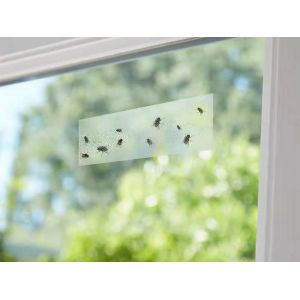 Autocollants Anti-Mouches Transparents Pour Fen&ecirc;tres - 60 Feuilles - Neuf