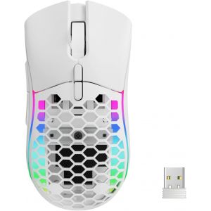 KALANKA-Souris sans Fil RGB, Souris Poids Léger Rayon de Miel, DPI Ajustable, 14 Modes de Rétroéclairage RGB, Plug & Play, pour PC/Mac, Noir - Neuf