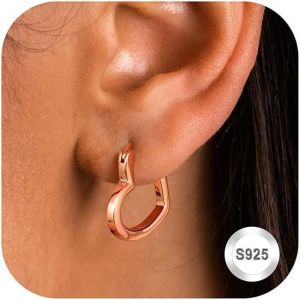 Boucles D'oreilles Femme Argent 925 Boucles D'oreilles Créoles En Forme De C?ur Creoles Plaquées Or 14k Boucles D'oreilles Pendantes Fantaisie Boucles D'oreilles Femme Or Argent Cadeau Femme.[X1053] - Neuf