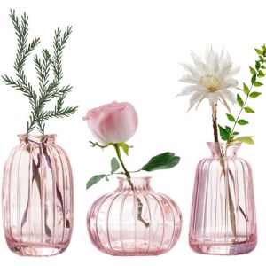 Bnhgc-Lot De 3 Petits Vases En Verre Pour Fleurs, Décoration De Table De Maison, Bureau Ou Mariage - Neuf