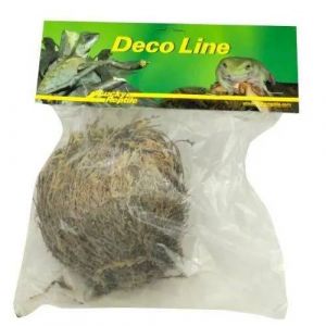 Plante - Lucky Reptile - Dl-Rj - Rose De J&eacute;richo Naturelle - D&eacute;coration Terrarium - Couleur Rose Et Verte - Neuf